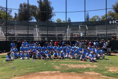 2019-baseball
